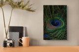 Tablou Canvas, "Pene de păun &icirc;n nuanțe delicate", Mystery, Elegance, Vibrance, Texture, Symphony, Nature, Iridescence, Harmony, Beauty, Intricacy, 26