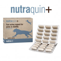 Nutravet Nutraquin+, Caini & Pisici, 60 capsule