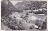 Bnk cp Valea Oltului - Vedere - uzata, Circulata, Printata, Valcea