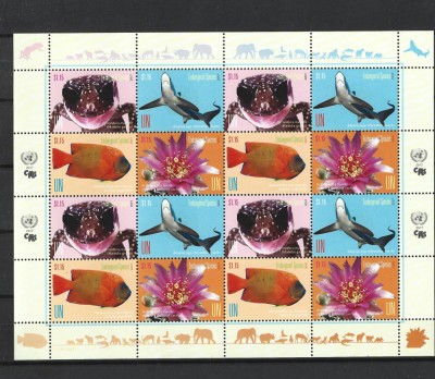 ROMANIA 2017 - ONU-ROMANIA, SPECII PERICLITATE, NEW YORK, MINICOALA - LP 2145b foto
