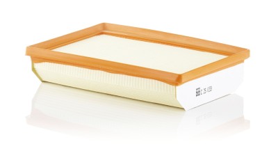 MANN-FILTER C 25 033 Filtru aer foto