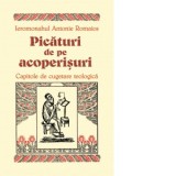 Picaturi de pe acoperisuri - Capitole de cugetare teologica - Ieromonahul Antonie Romaios