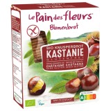 Paine crocanta cu castane fara gluten, eco
