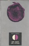 Ion Voda cel Viteaz - Dinu C. Giurescu