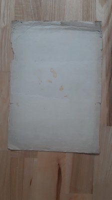 DIPLOMA DE &amp;quot; FRUNTAS &amp;quot; IN &amp;quot; INTRECEREA SOCIALISTA &amp;quot; (1952) propaganda comunista stalinista foto