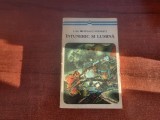 Intuneric si lumina de I.Al.Bratescu-Voinesti