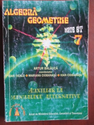Algebra si geometrie clasa a VII-a foto