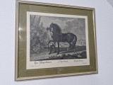 Tablou Gravură Johann Elias Ridinger