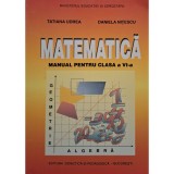Tatiana Udrea - Matematica - Manual pentru clasa a VI-a (Editia: 2001)