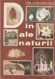 ION SIMIONESCU - DIN ALE NATURII