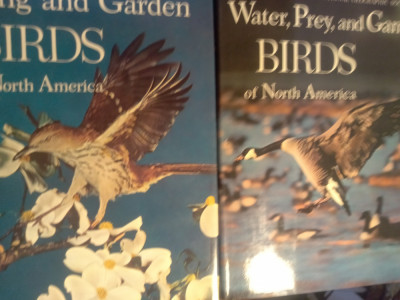Song and Gardena,water preț and game birds north America,2 vol foto