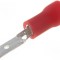 Papuc 2.8mm tata rosu izolat