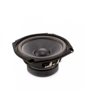 Difuzor HI-FI HOME 5&amp;quot; 130mm 60/100W 8 ohmi 80Hz-6kHz Carguard HSP001 foto