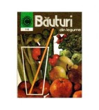 Georgeta Septilici - Bauturi din legume - 119150