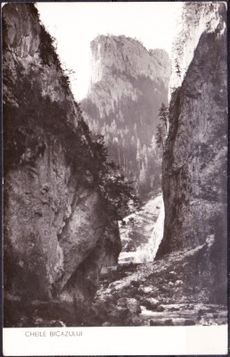 AMS - ILUSTRATA/VEDERE 859 CHEILE BICAZULUI 1960, CIRCULATA foto