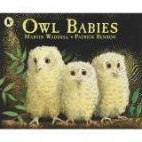 Owl Babies