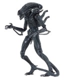 Aliens Action Figure 23 cm Ultimate Alien Warrior Blue