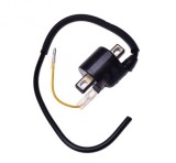 Bobina inductie Honda Cod Produs: MX_NEW AW0091