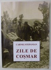 ZILE DE COSMAR de CARNIG STEPANIAN , 2021, PREZINTA URME DE UZURA SI DE INDOIRE