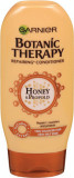 Botanic Therapy Balsam păr cu miere, 200 ml, Garnier