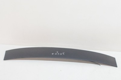 Ornament superior parbriz AUDI A5 F53 2017 OEM: 10029821 | 12686434 foto