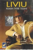 Liviu Guță - Rom&acirc;n &Icirc;ntre Țigani, Caseta audio