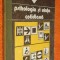Psihologia si viata cotidiana - Valeriu Ceausu, Horia Pitaru, Mircea Toma