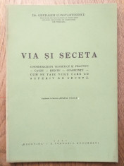 Via si seceta,1947 // Viticultura foto