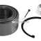 Set rulment roata HYUNDAI TUCSON (JM) (2004 - 2010) RINGER 1141006102