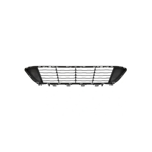 Grila bara de protectie Bmw X1 (F48), 06.2015-09.2022, Fata, Central, Aftermarket