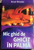 MIC GHID DE CITIT IN PALMA, RENE BRUNIN/EDITURA LIDER,2014/ F.BUNA/ PRET !