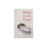 What If It's True?: A Storyteller's Journey with Jesus
