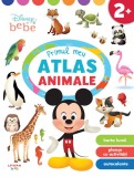 Disney Bebe. Primul meu atlas. Animale