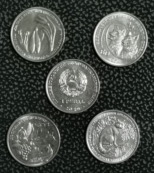 SV * Transnistria / MOLDOVA * LOT 4 x 1 RUBLA 2020 * FLORA + FAUNA * AUNC +