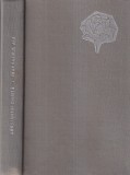 Constantin Chirita - Trandafirul alb