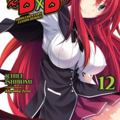 High School DXD, Vol. 12 (Light Novel)