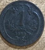 MNDSTR AUT4 Austro-Ungaria 1 heller 1900