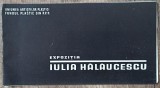 Expozitia Iulia Halaucescu