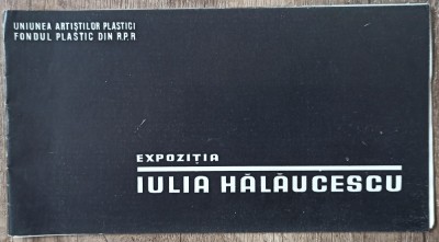 Expozitia Iulia Halaucescu foto