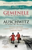 Gemenele de la Auschwitz - Affinity Konar - Editura Niculescu