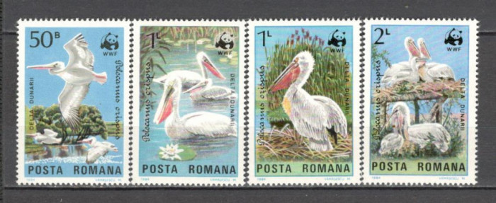 Romania.1984 Protejarea naturii-Pelicani ZR.745