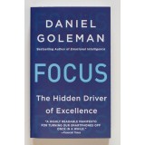 Daniel Goleman - Focus. The Hidden Driver of Excellence (Motivația ascunsă...)
