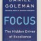 Daniel Goleman - Focus. The Hidden Driver of Excellence (Motivația ascunsă...)