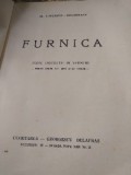 E. FURNICA POEN
