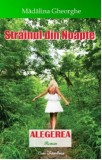 Strainul din noapte. Alegerea | Madalina Gheorghe​