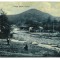 3414 - NEHOIU, Buzau, Bridge, Romania - old postcard - used