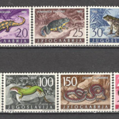 Iugoslavia.1962 Fauna-Amfibieni si reptile SI.194