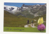 FA34-Carte Postala- Franta - L&#039;ete en Montagne, circulata, Fotografie