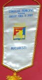 Fanion (matase) -Consiliul Municipal pentru Educatie Fizica si Sport-BUCURESTI