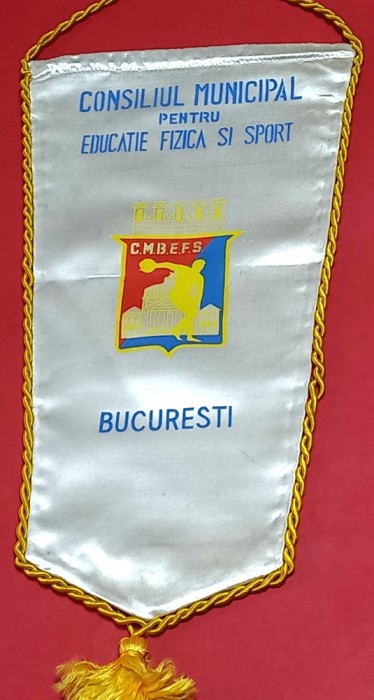 Fanion (matase) -Consiliul Municipal pentru Educatie Fizica si Sport-BUCURESTI